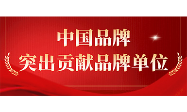 亚搏app登陆获评“突出贡献品牌单位”，树立中国品牌标杆力量